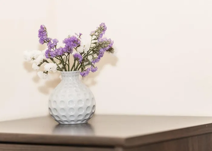 ベッド・アンド・ブレックファスト Alexandra